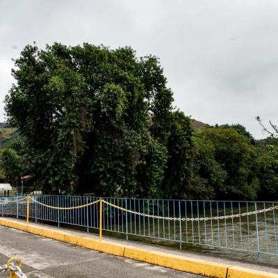 Ponte 1