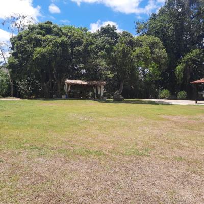 Area Cerimonial 1