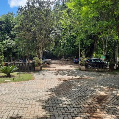 Bosque Cel 1