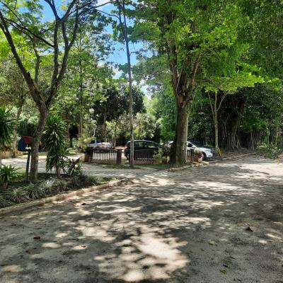 Bosque Cel 3