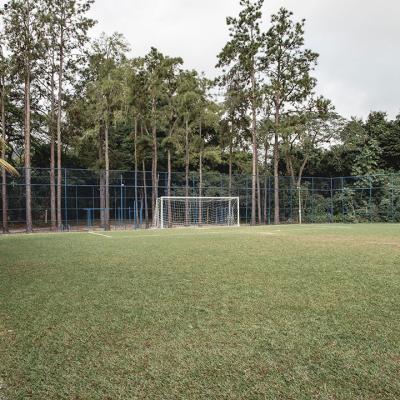 Campo De Futebol 01