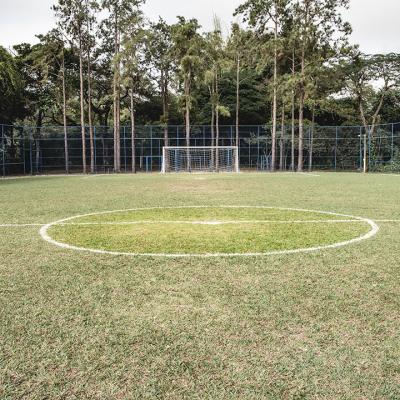 Campo de Futebol