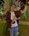 arraia26
